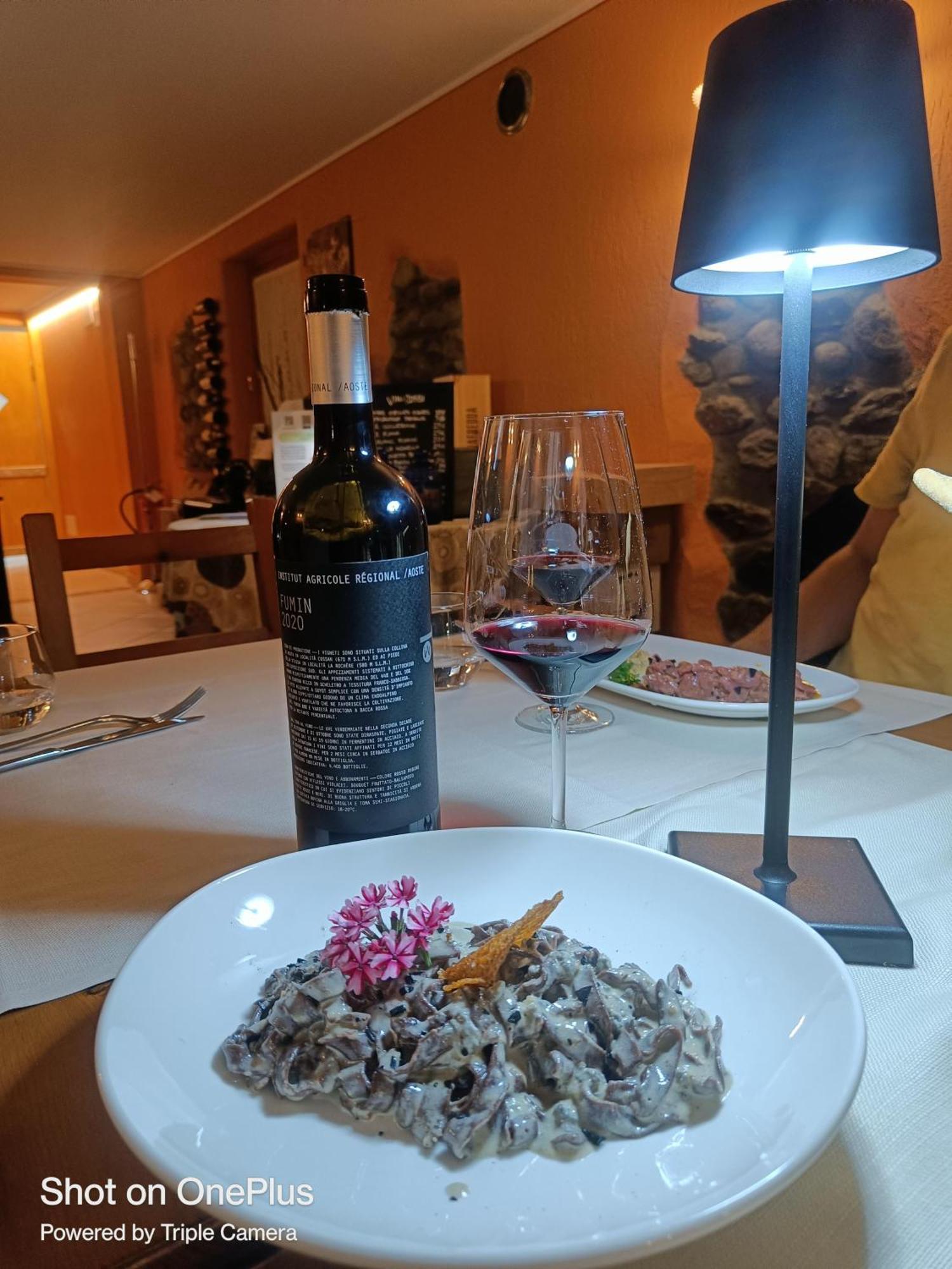 Lou Rose Villa Donnaz Kültér fotó